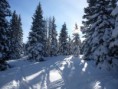 /album/fotogalerie-w/koralpe-2013-019-jpg/